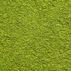 Matcha Green Tea