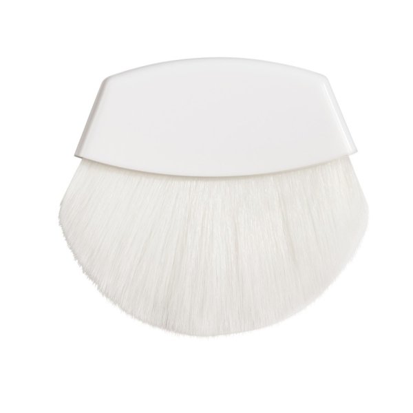 Rosé All Day Petal Glow Brush on white background